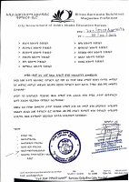 amharic (grade 9&10).pdf